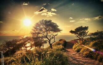 Sunset Israel Roads Roy Skies Scape Haifa Royba Wallpaper
