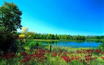 Lake In The Summer Forest Wallpaper And Image Pictures