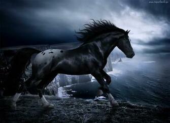 Best Darkhorse Wallpaper