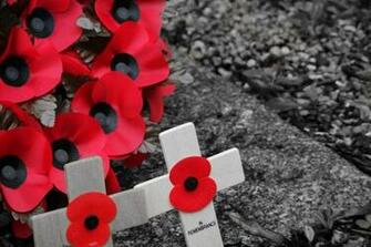 Remembrance Day Wallpaper