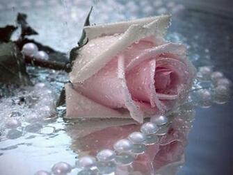 Tag Pearls With Flowers Wallpaper Background Paos Image And