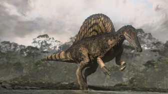 Spinosaurus Wallpaper