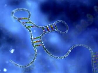Breaking The Silence Of Rna Interference Drugs Business