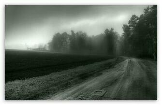 Foggy Country Road Digital Wallpaper Black