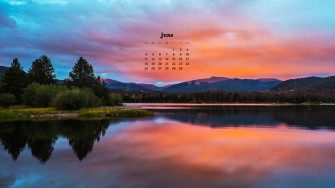 June Wallpaper Bies For Desktop Phones