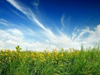 Sunny Nature Day Wallpaper