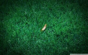 HD Desktop Wallpaper Widescreen For In High Quality