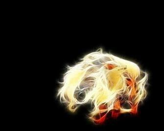 Pokemon Arcanine Wallpaper