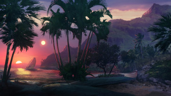 Palm Tree 4k Laptop Full HD 1080p Wallpaper Image