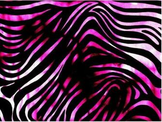 Zebra Print Wallpaper HD Net