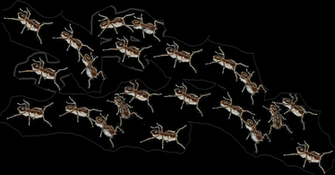 Ants Png Transparent Background Clip Art Library