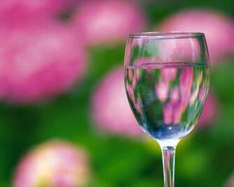 Wine Glass In Front Of Flower Wallpaper Enjoy