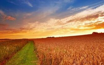 HD Farm Wallpaper