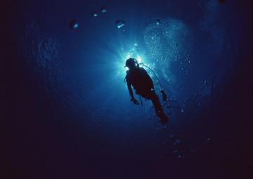Scuba Diving Wallpaper