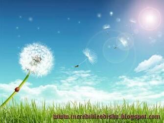 Our Odisha Some Nice Wallpaper