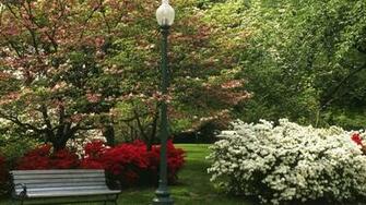 Spring Season New York City Central Park Wallpaper Nature