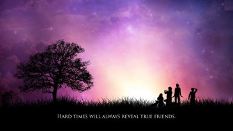 Best Friend Wallpaper