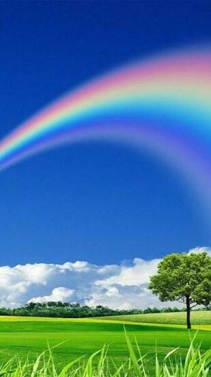 Rainbow Live Wallpaper 1mobile