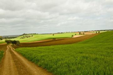Wallpaper Road Trees Shadow Sky Green Portugal Contrast