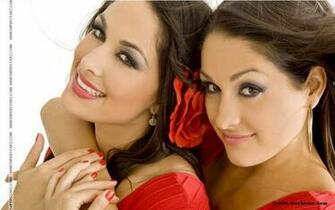 The Divas Bella Twins Brie Nikki Iunie
