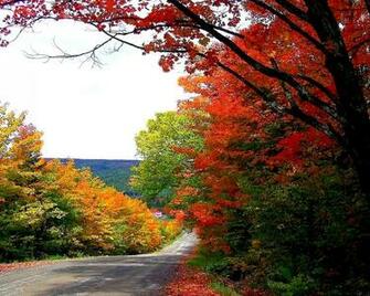 Autumn Design Wallpaper Designs Desktop Funny