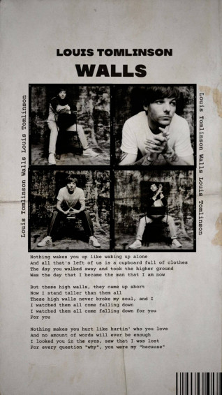 Printed Vintage Louis Tomlinson Walls Mg29voop6ciopzki Wallpaper