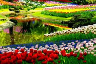 Beautiful Spring Pictures And Wallpaper
