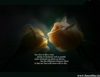 Love Poems Wallpaper Beautiful HD For