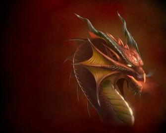 Photo Of Dragons