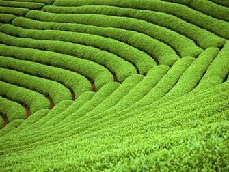 Definition Wallpaper Widescreen Lcd Desktop