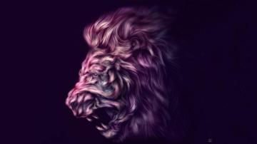 Tiger Graphic Design Digital Art Android iPhone HD