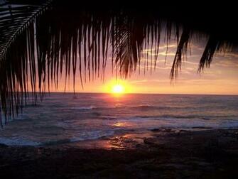 Tropical Island Sunset Wallpaper