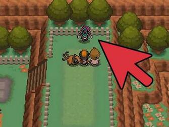 Find Suicune In Pok Mon Heartgold Or Soulsilver