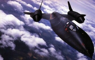 Sr Blackbird Wallpaper