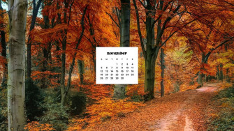 November Wallpaper Bies For Desktop Phones