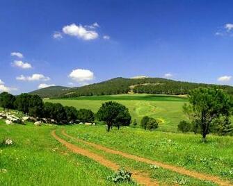 Israel Most Beautiful Places In The World Wallpaper