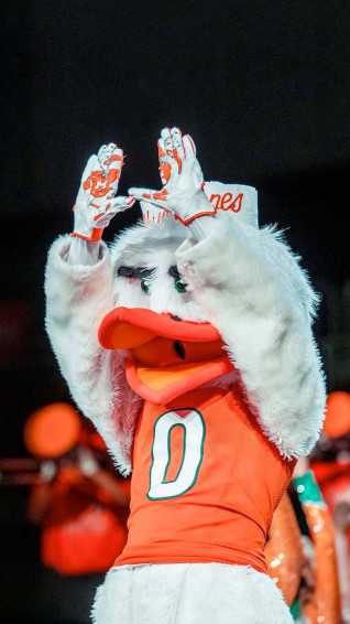 University Of Miami Wallpaper