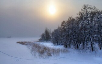 Winter Landscape Wallpaper Stock Photos