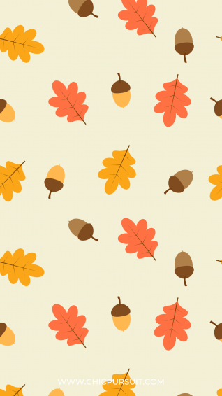 Cute Thanksgiving Wallpaper For iPhone