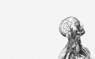 Human Anatomy Wallpaper Desktop Image Pictures Becuo