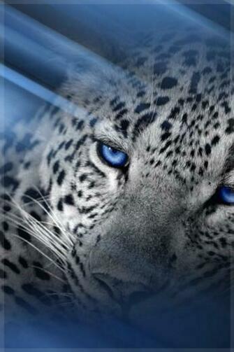 iPhone Wallpaper Snow Animal
