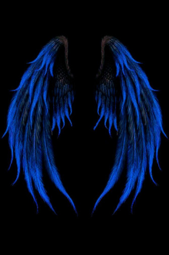 My Fallen Dark Angel Hawks X Black Reader Wings Drawing