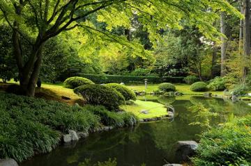 Photos Vancouver Canada Nitobe Garden Nature Pond Parks Shrubs