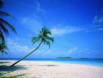 Beautiful Beach Scene Wallpaper