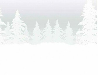 Background Snow Pics