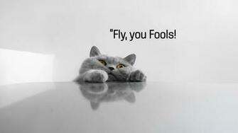 Animals Full HD Wallpaper 1080p Desktop Background