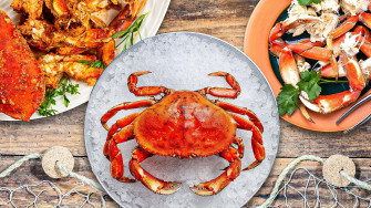 What Makes Dungeness Crab Unique Wallpaper