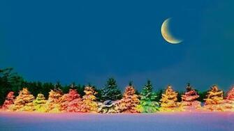 Colorful Tree In The Cold Winter Night HD Wallpaper