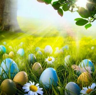 Easter Wallpaper HD Background