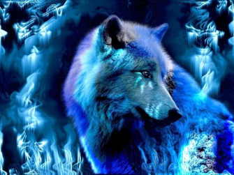 A Fire And Water Wolf Looks Majestically Upon The Night Sky Wallpaper